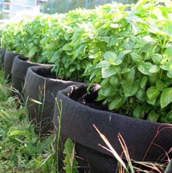 Túi vải trồng cây - Vải Không Dệt Greennow - Tên công ty cũ: Công Ty Cổ Phần Vải Không Dệt Tân Thiên Long